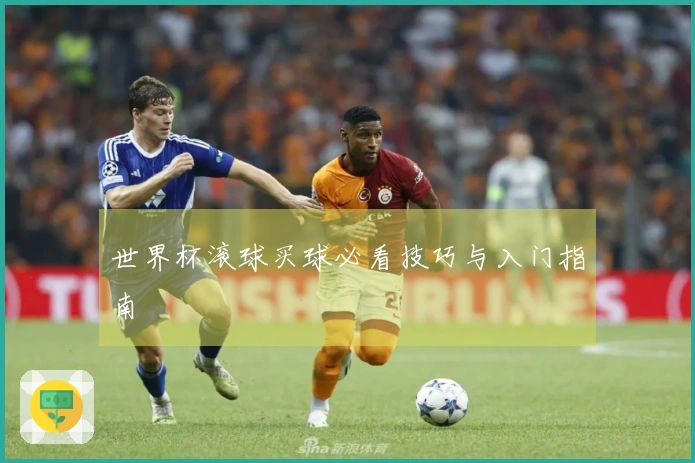 世界杯滚球买球必看技巧与入门指南