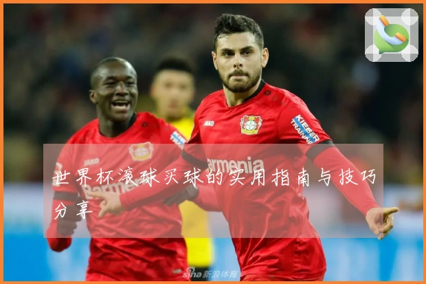 世界杯滚球买球的实用指南与技巧分享