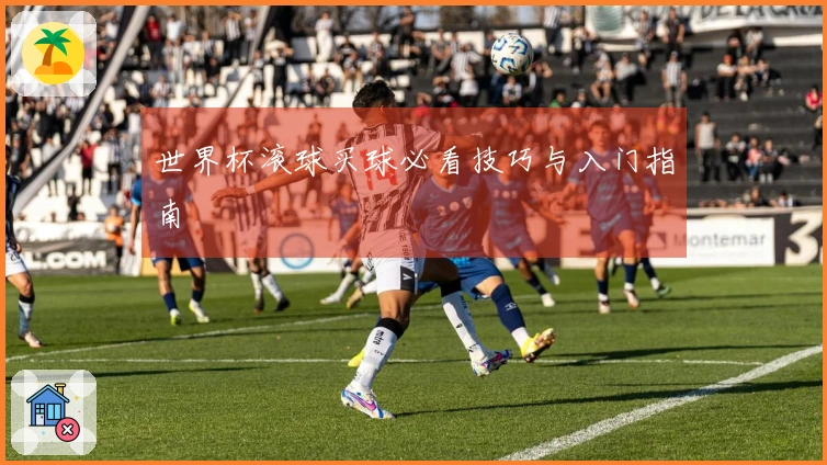 世界杯滚球买球必看技巧与入门指南