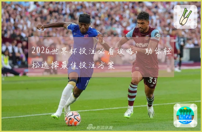 2026世界杯投注必看攻略，助你轻松选择最佳投注方案