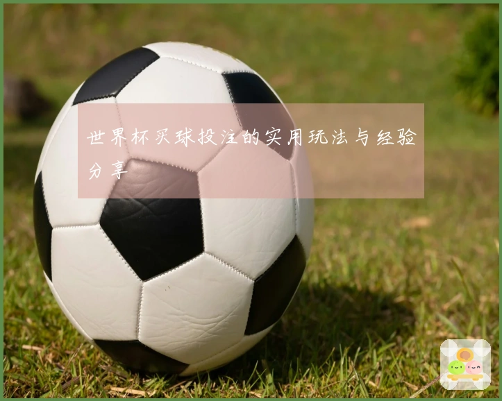 世界杯买球投注的实用玩法与经验分享