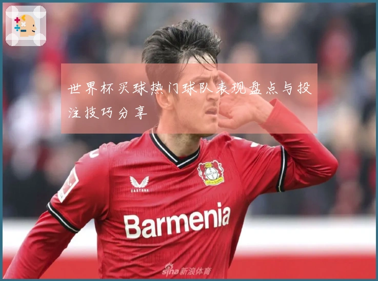 世界杯买球热门球队表现盘点与投注技巧分享