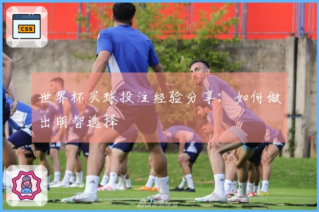 世界杯买球投注经验分享:如何做出明智选择