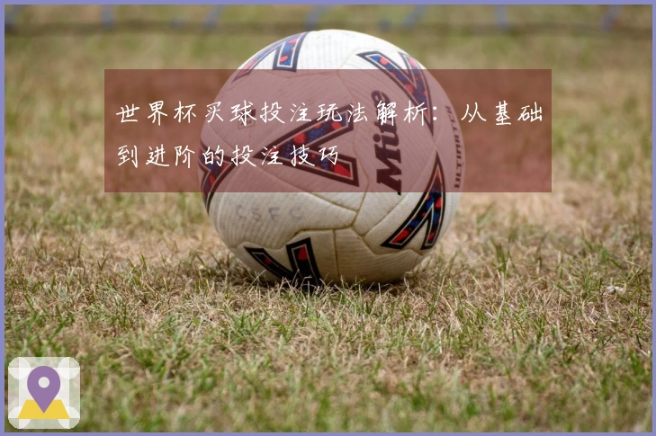 世界杯买球投注玩法解析：从基础到进阶的投注技巧
