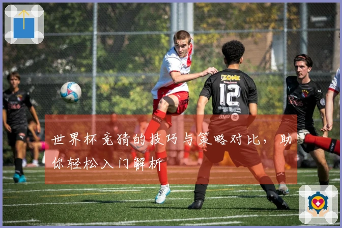 世界杯竞猜的技巧与策略对比，助你轻松入门解析