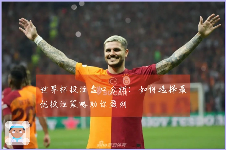 世界杯投注盘口分析：如何选择最优投注策略助你盈利