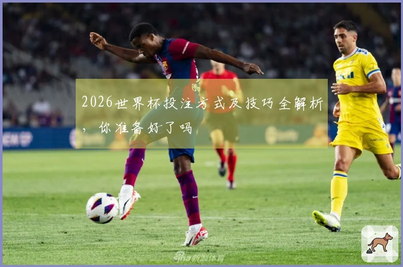 2026世界杯投注方式及技巧全解析，你准备好了吗