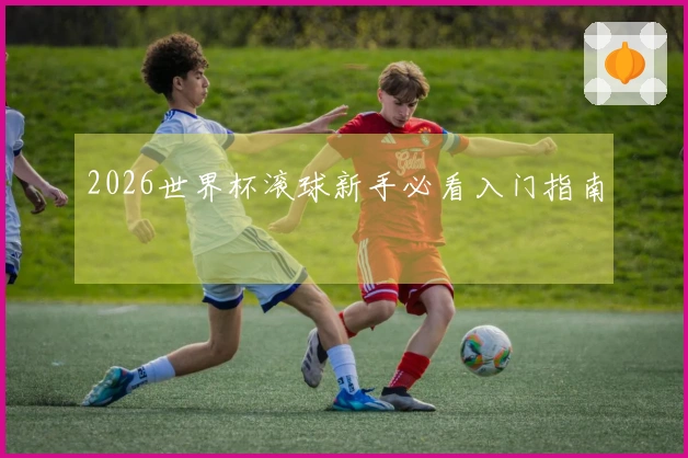 2026世界杯滚球新手必看入门指南