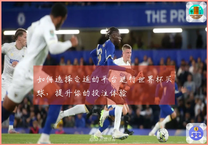 如何选择合适的平台进行世界杯买球，提升你的投注体验