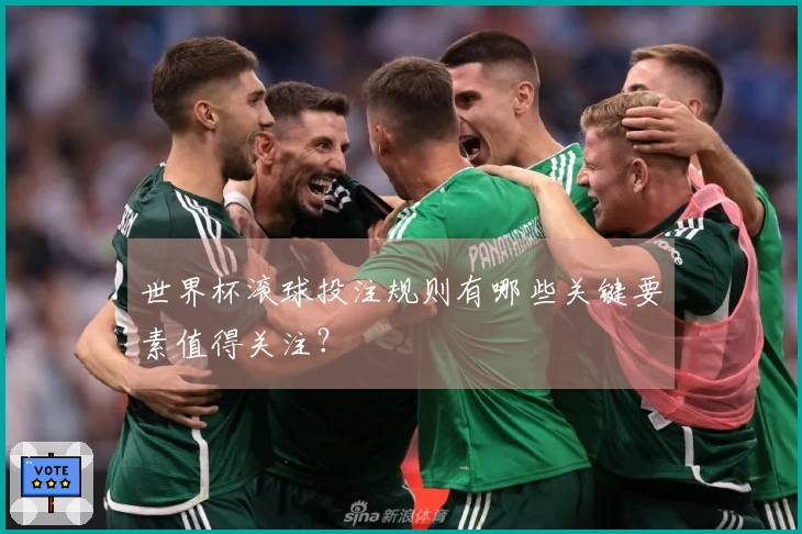 世界杯滚球投注规则有哪些关键要素值得关注？