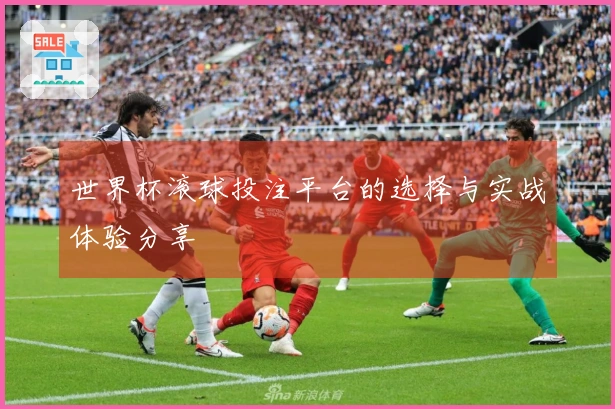 世界杯滚球投注平台的选择与实战体验分享