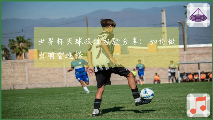 世界杯买球投注经验分享：如何做出明智选择