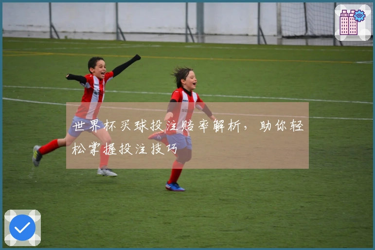 世界杯买球投注赔率解析，助你轻松掌握投注技巧