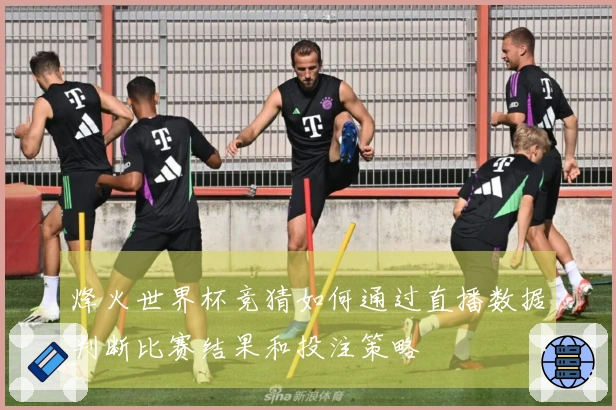 烽火世界杯竞猜如何通过直播数据判断比赛结果和投注策略