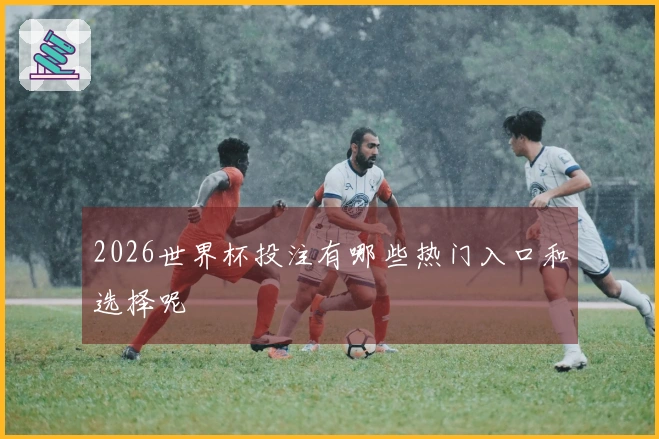 2026世界杯投注有哪些热门入口和选择呢