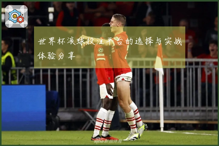 世界杯滚球投注平台的选择与实战体验分享