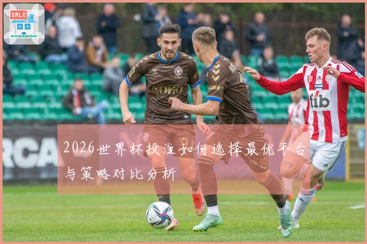 2026世界杯投注如何选择最优平台与策略对比分析